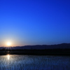 朝陽棒　青