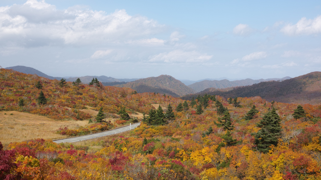 栗駒の紅葉3