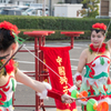中国ゴマ