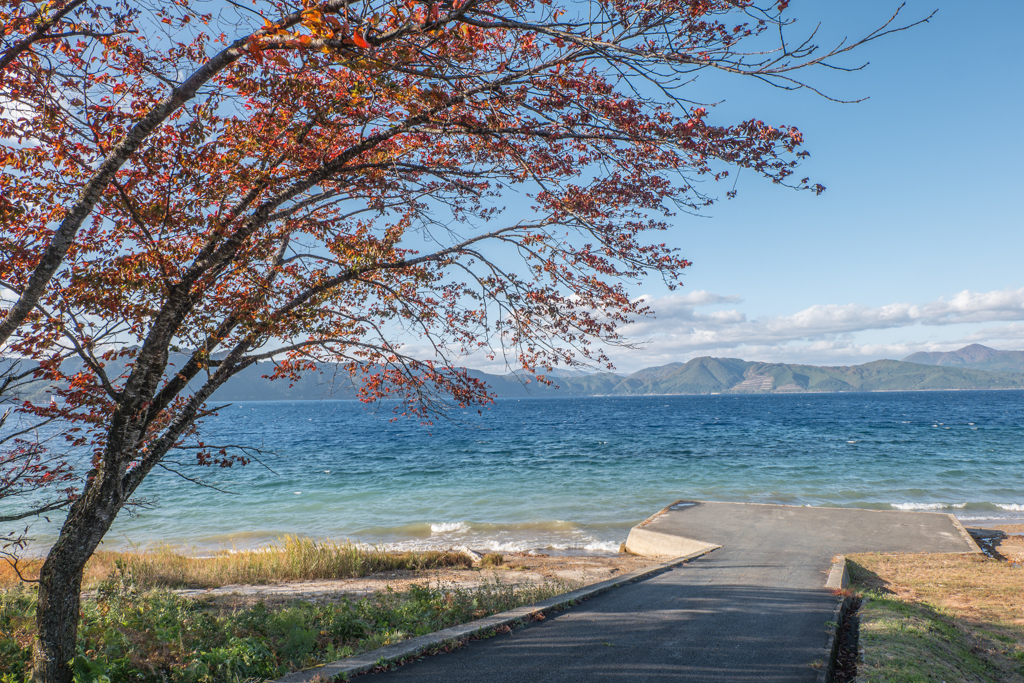 田沢湖の紅葉