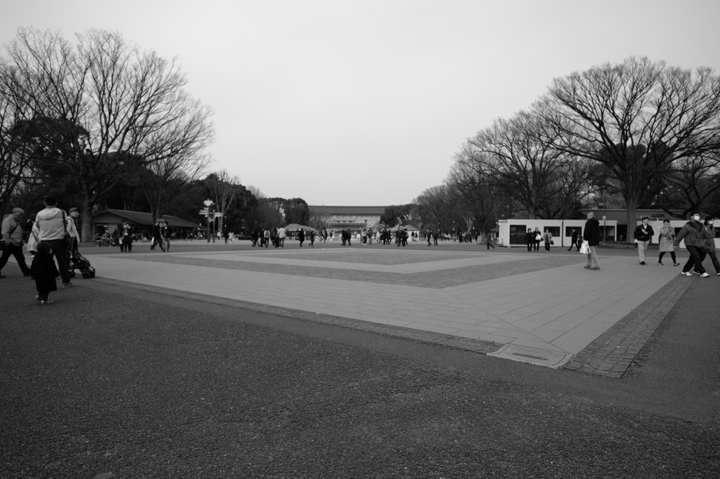 上野恩賜公園2