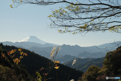 陣馬山から見える富士山