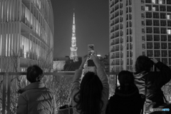 東京タワーを撮りたくて