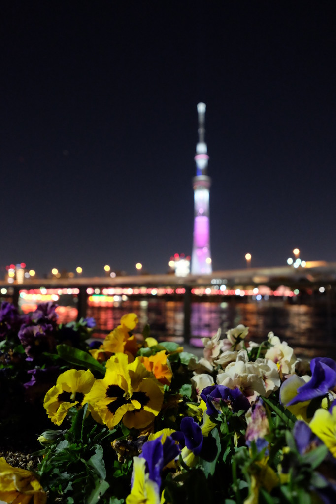 東京スカイツリー28