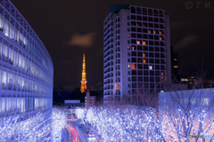 けやき坂と東京タワー