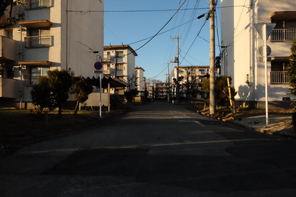 日暮れの団地　整然と並ぶ