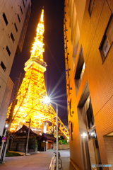 輝く東京タワー