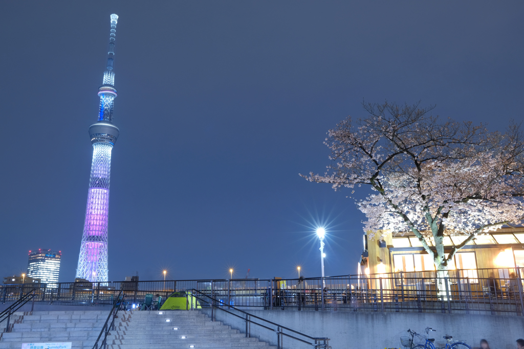東京スカイツリー115 春