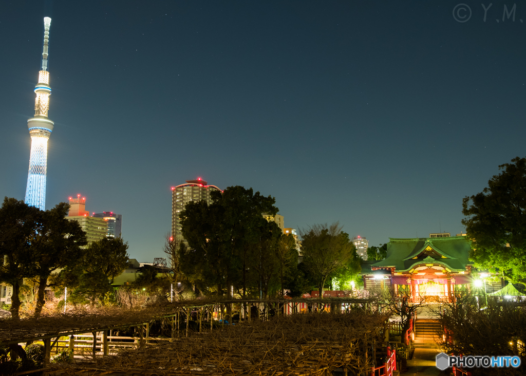 東京スカイツリー136 夜の亀戸天神