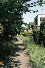 散歩