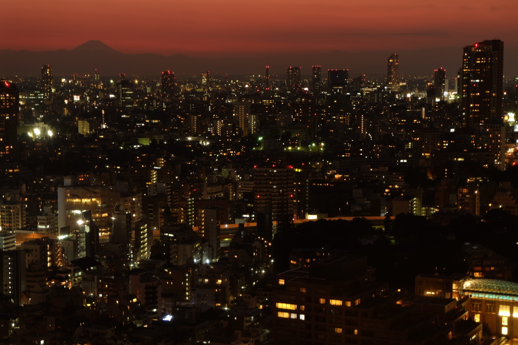 東京タワーからの景色2
