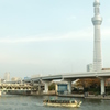 東京スカイツリー16 すみだ公園から