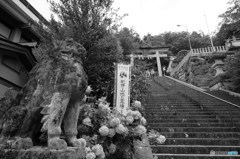 熊野那智大社に続く階段