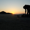 大久野島のうさぎたち17 夕日を浴びて2