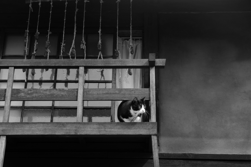 安芸の小京都・竹原3