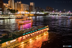 隅田川の桜と屋形船1