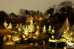 金沢城 玉泉院丸庭園 ライトアップ