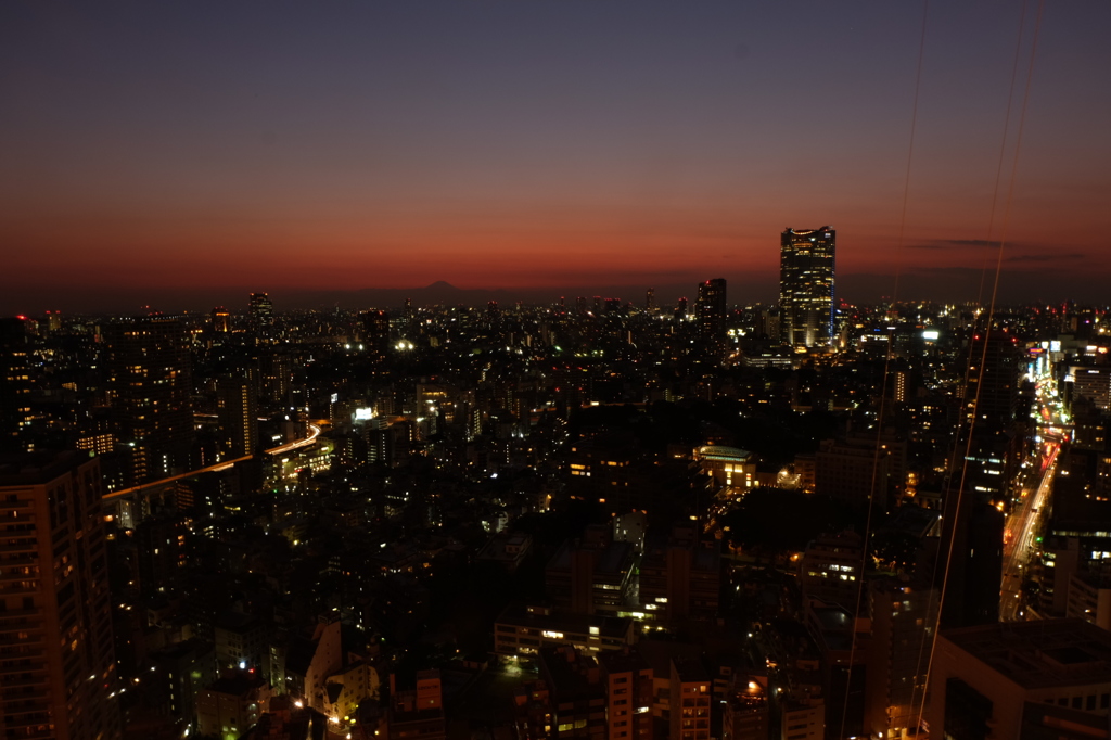 東京タワーからの景色1