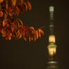 東京スカイツリー2 紅葉夜景