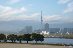東京スカイツリー72 荒川も紅葉の始まり