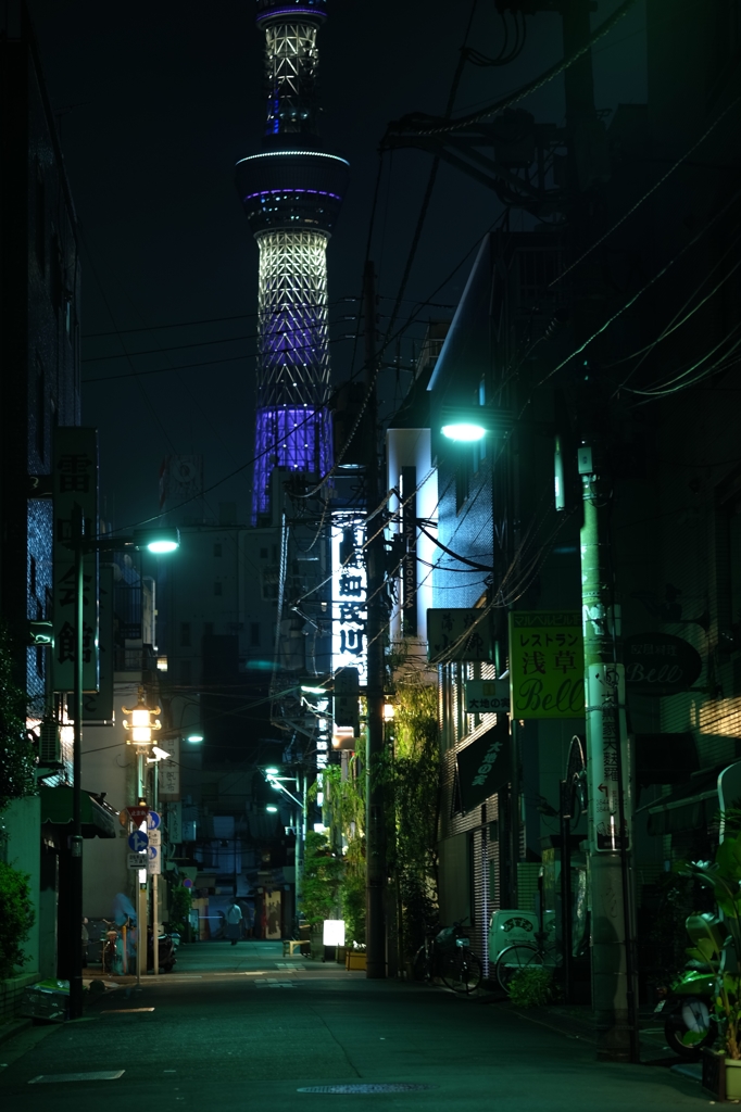 東京スカイツリー44 夜の下町から臨む