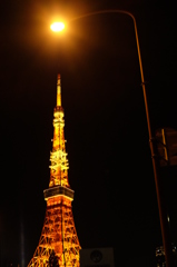 東京タワーのある夜景5