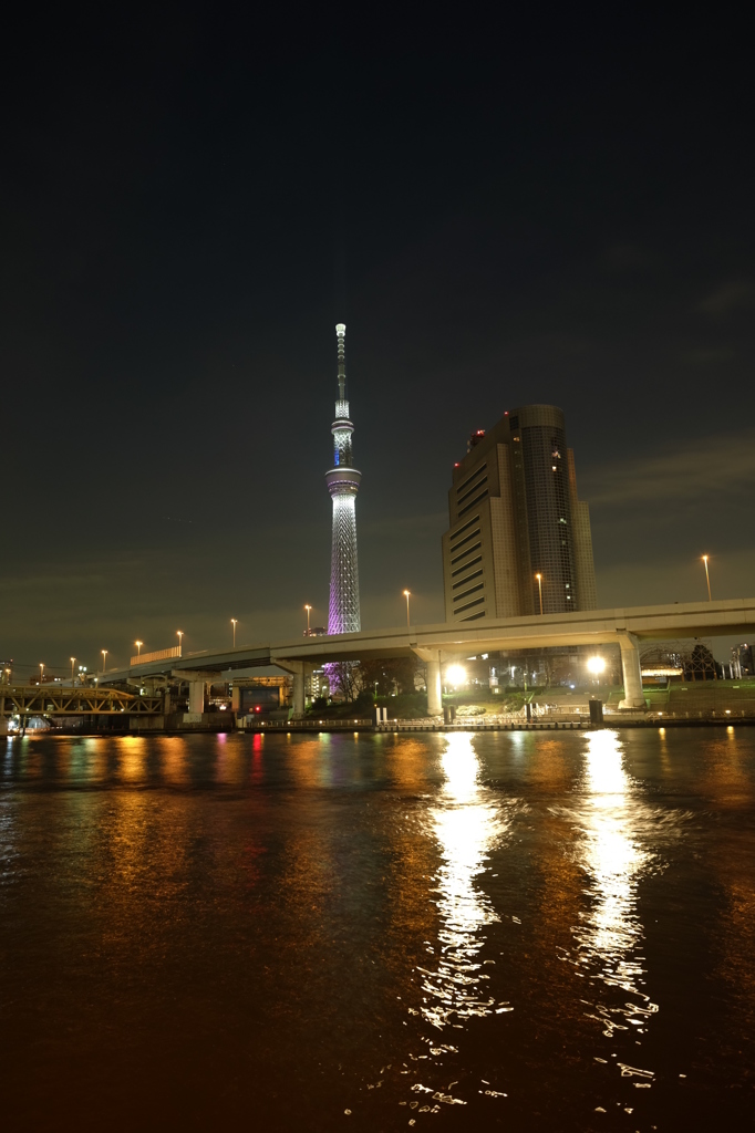 東京スカイツリー8 すみだ公園から