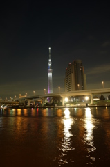 東京スカイツリー8 すみだ公園から