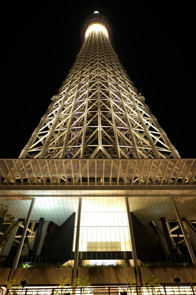 東京スカイツリー38 おひざ元