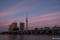 東京スカイツリー125