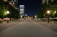 東京駅の夜景8 通りの真ん中から