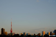 東京タワー