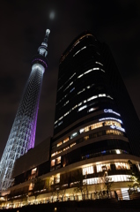 東京スカイツリー11 見上げる