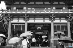 雨の八坂神社 傘をさして出入りする観光者