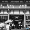 雨の八坂神社 傘をさして出入りする観光者