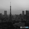 東京タワー夕景