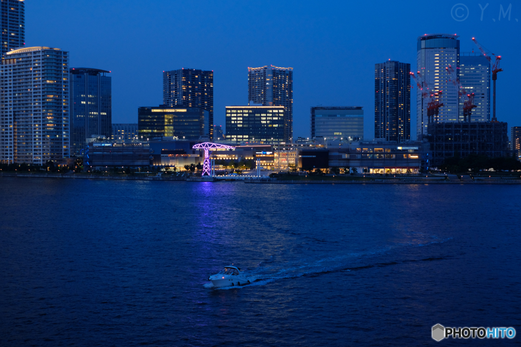 青い夜の豊洲