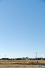 凧あげ