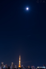 月夜の東京タワー