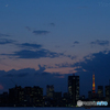 月下の東京