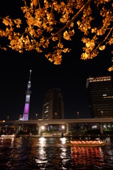 東京スカイツリー26 咲き始めた桜と隅田川を行く船