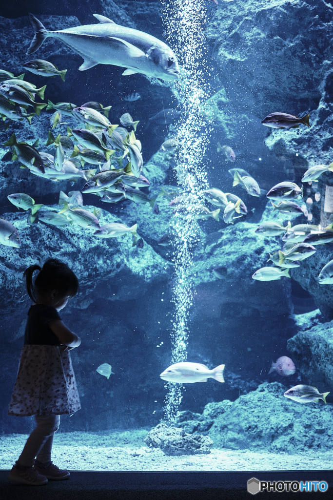 水族館を楽しむ娘