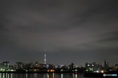 東京スカイツリー81