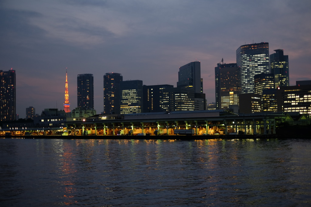 築地市場7 東京タワー5