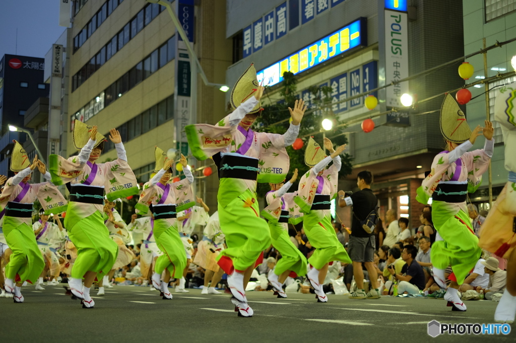 南越谷阿波踊り1