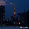 夕暮れの東京タワー