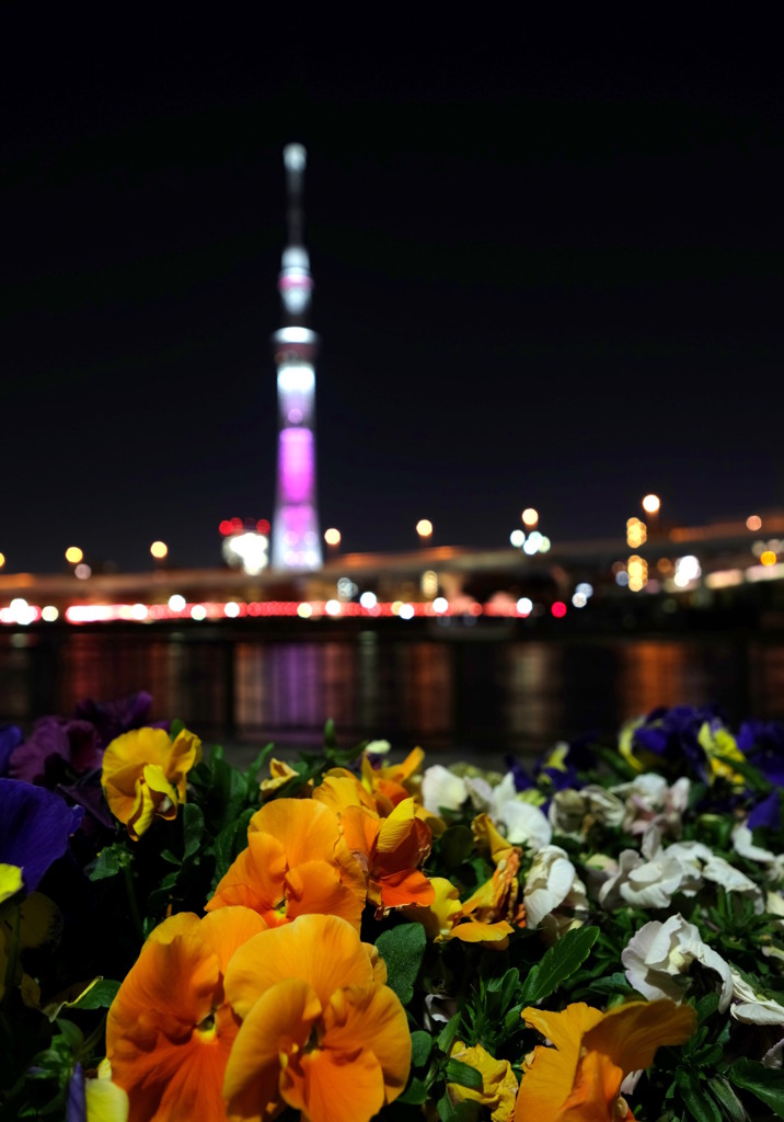 東京スカイツリー30