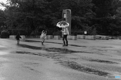 雨の八坂神社 雨に喜ぶ子供