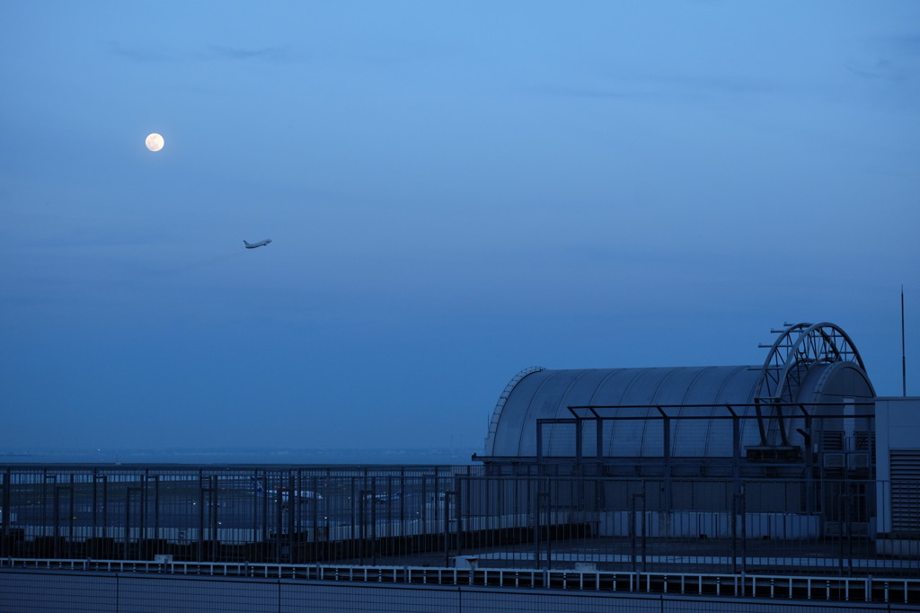 羽田空港5 月と飛行機