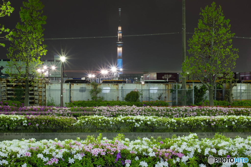 東京スカイツリー86